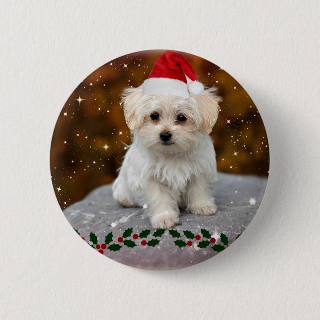 Badge Rond 5 Cm Noël des chiots maltais (Devant)