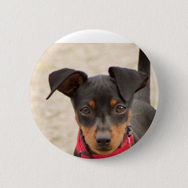 Badge Rond 5 Cm noir et rouille miniature (Devant)