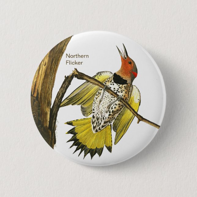 Badge Rond 5 Cm Northern Flicker, Audubon, Birdwatcher Accessories (Devant)