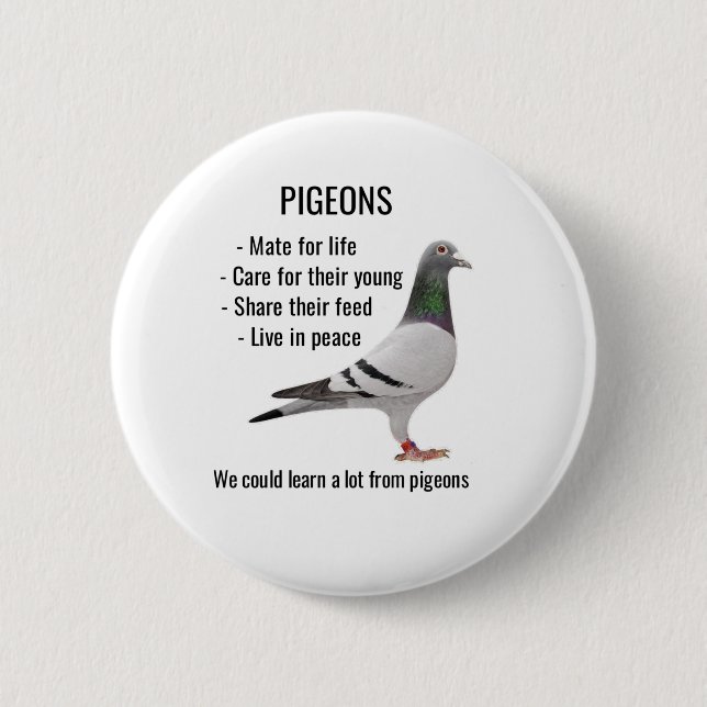 Badge Rond 5 Cm Nous pouvons en apprendre beaucoup sur les pigeons (Devant)