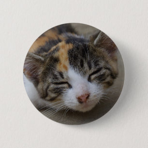 Badge Rond 5 Cm Noyer Calico Kitten