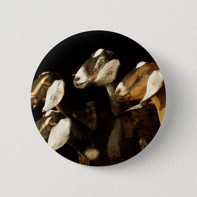 Badge Rond 5 Cm Nubians fait focalisé (Devant)