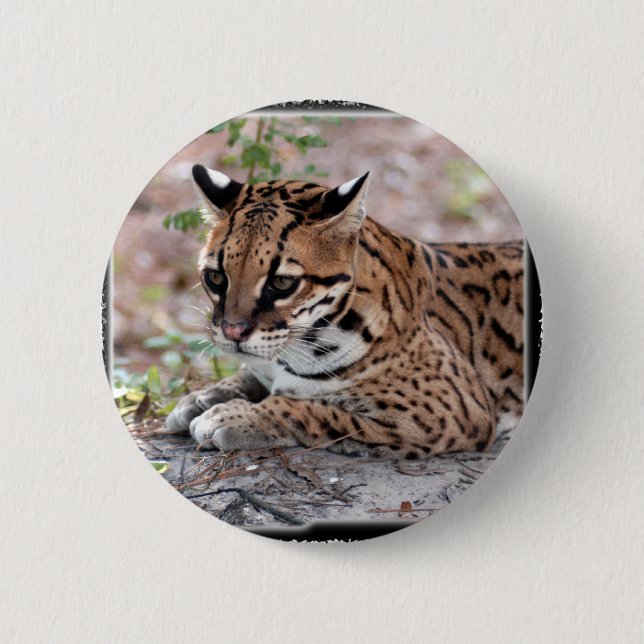 Badge Rond 5 Cm Ocelot 01 11x11 (Devant)