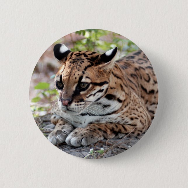 Badge Rond 5 Cm Ocelot 02 9x9 (Devant)