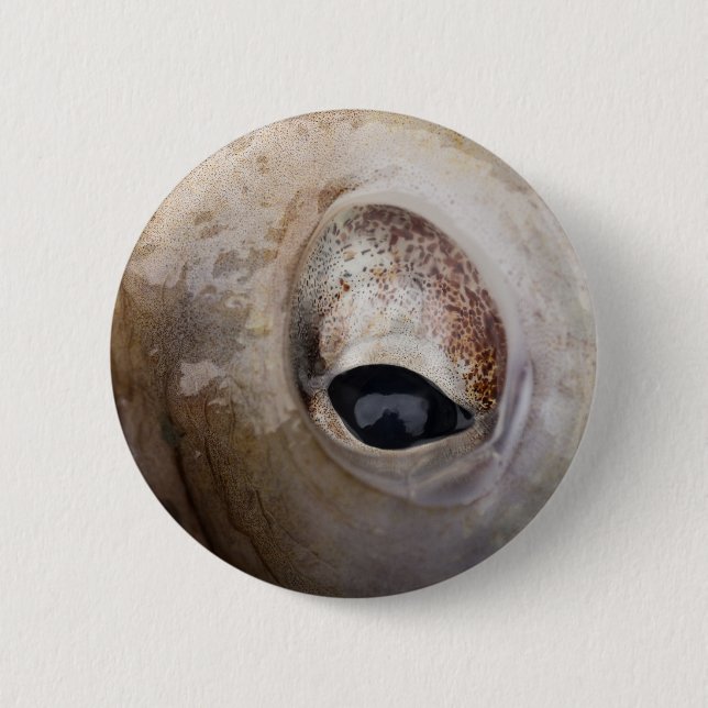 Badge Rond 5 Cm OEil octopique (Devant)