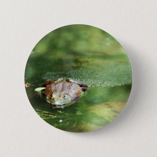 Badge Rond 5 Cm Oeufs pondeuses de grenouilles à taureaux (Devant)