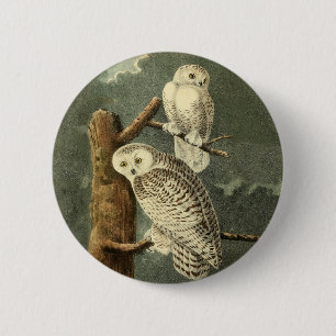 Badge Rond 5 Cm OEuvre d'OEuf Audubon