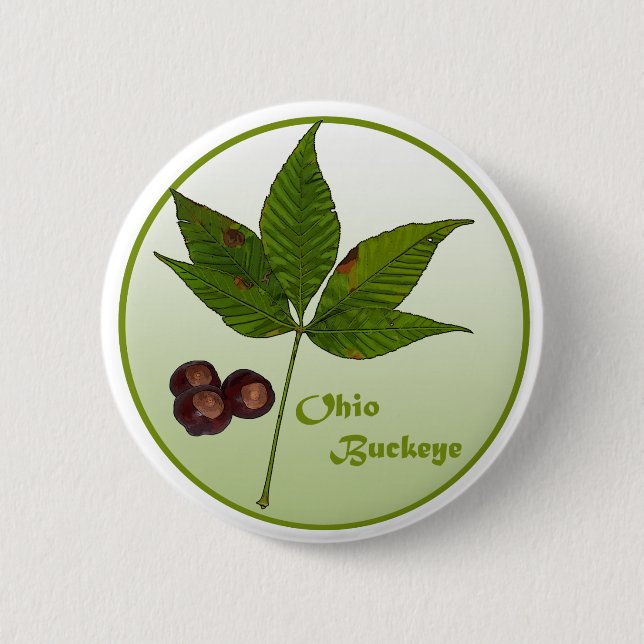 Badge Rond 5 Cm Ohio Buckeye Tree (Devant)