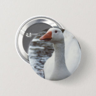 Badge Rond 5 Cm Oie blanche