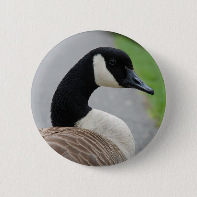 Badge Rond 5 Cm Oie canadienne (Devant)