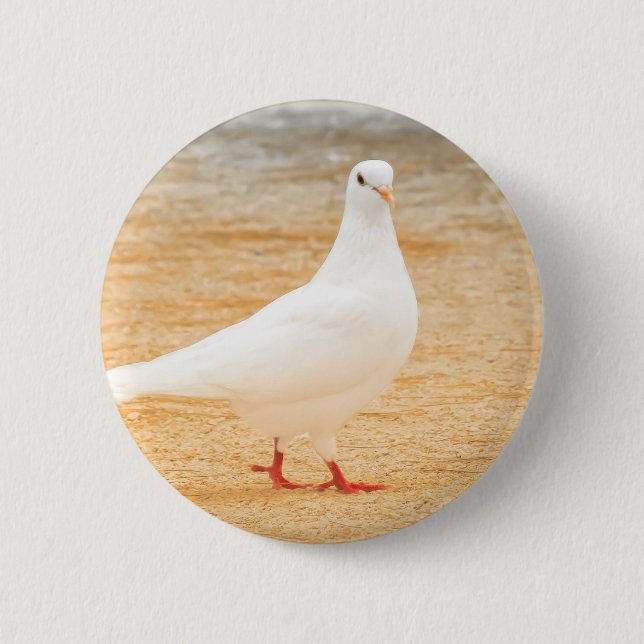 Badge Rond 5 Cm Oiseau blanc mignon de pigeon (Devant)