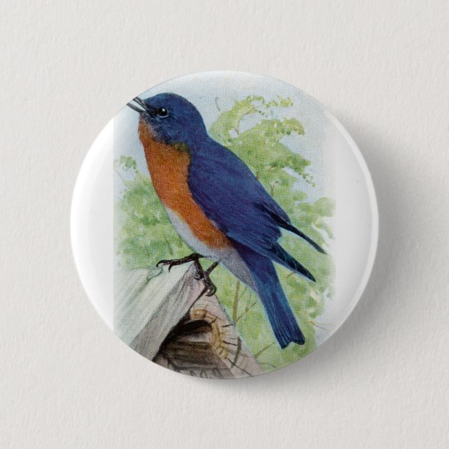 Badge Rond 5 Cm Oiseau bleu (Devant)