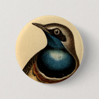 Badge Rond 5 Cm Oiseau bleu de Breasted