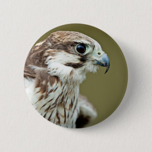 Badge Rond 5 Cm Oiseau de fin de faucon de proie