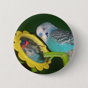 Badge Rond 5 Cm Oiseau de perruche dans le bouton préféré d'ani