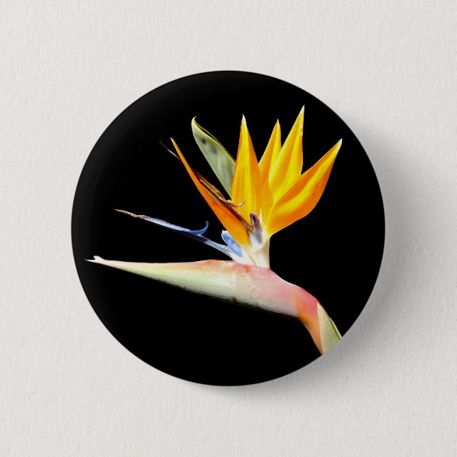 Badge Rond 5 Cm Oiseau d'insigne d'usine de paradis (Devant)