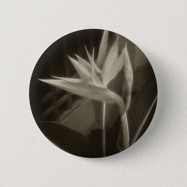 Badge Rond 5 Cm Oiseau du paradis Antiqued 10 (Devant)
