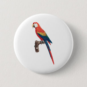 Badge Rond 5 Cm Oiseau rouge de perroquets