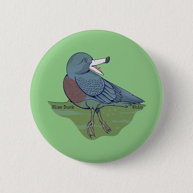 Badge Rond 5 Cm OISEAU Whio Blue Duck NZ (Devant)