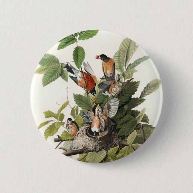 Badge Rond 5 Cm Oiseaux d'Amérique (1827) de John James Audubon (Devant)
