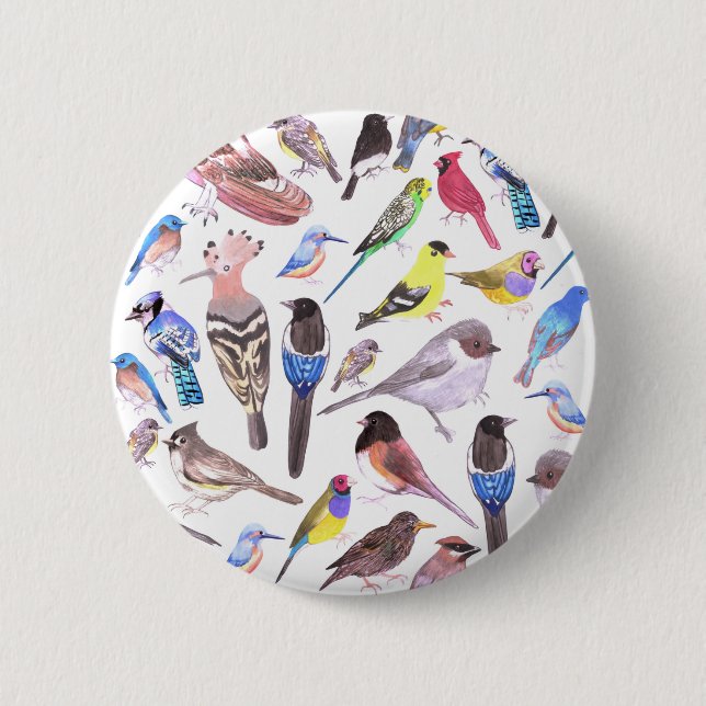 Badge Rond 5 Cm Oiseaux d'Amérique - animaux domestiques et oiseau (Devant)