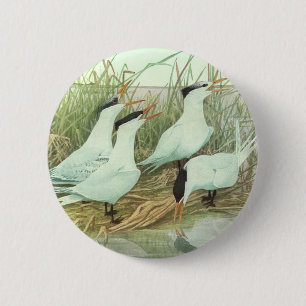 Badge Rond 5 Cm Oiseaux de rivage vintage dans un marais par Louis
