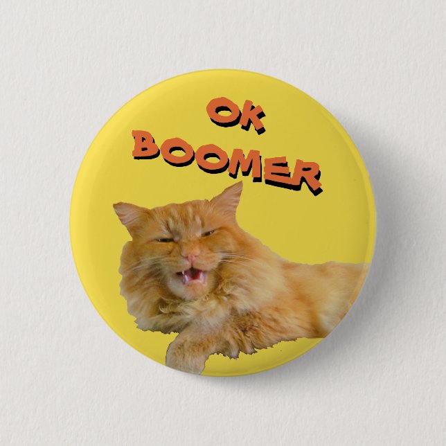 Badge Rond 5 Cm Ok Boomer Parle Cat Meme (Devant)