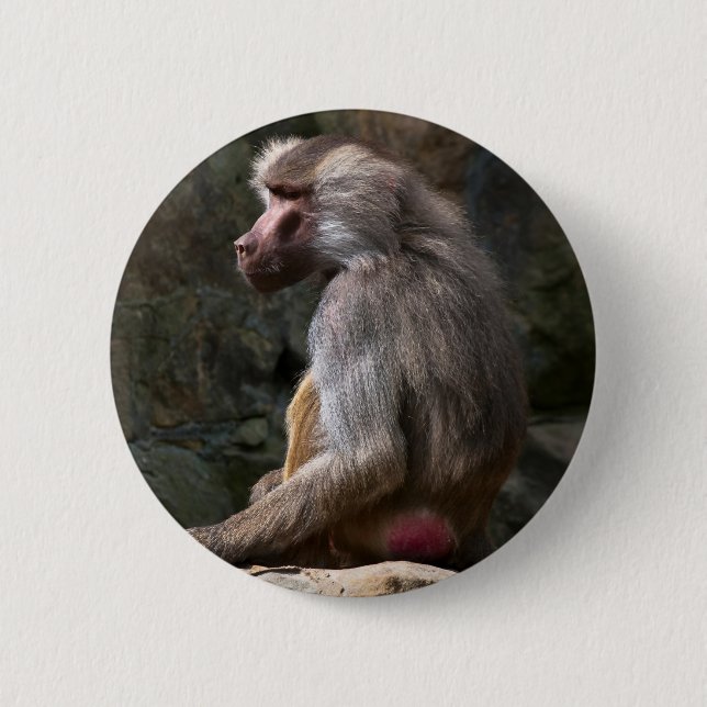 Badge Rond 5 Cm Olive Baboon (Devant)