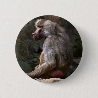 Badge Rond 5 Cm Olive Baboon