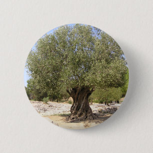 Badge Rond 5 Cm Olivier de l'Israël