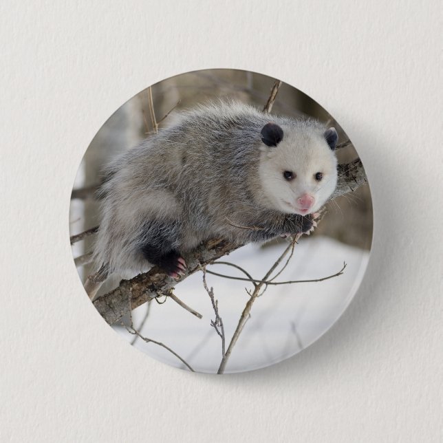 Badge Rond 5 Cm Opossum Love (Devant)
