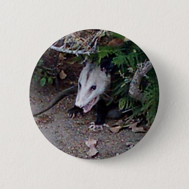 Badge Rond 5 Cm Opossum sauvage (Devant)