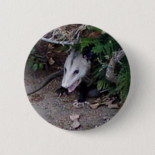 Badge Rond 5 Cm Opossum sauvage