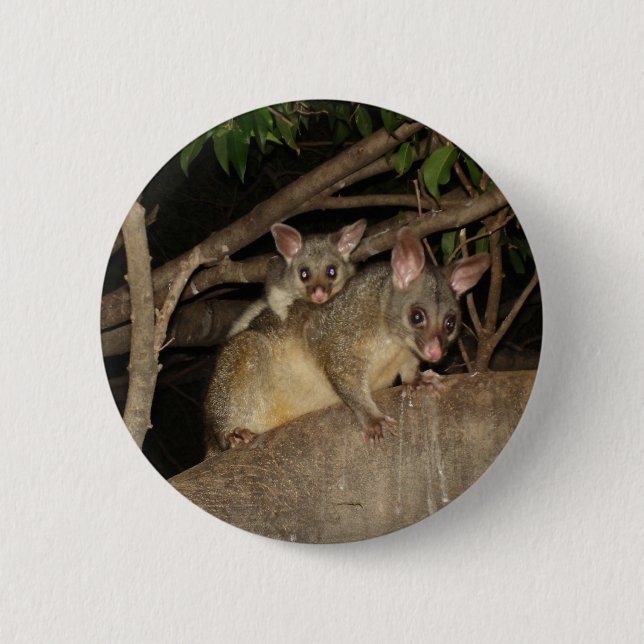 Badge Rond 5 Cm Opossums de Brushtail (Devant)