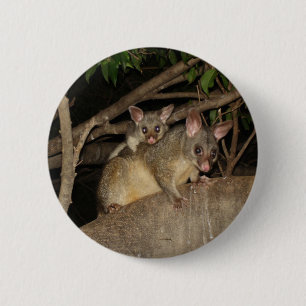 Badge Rond 5 Cm Opossums de Brushtail