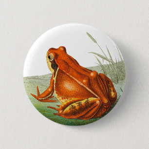 Badge Rond 5 Cm Orange frog vintage