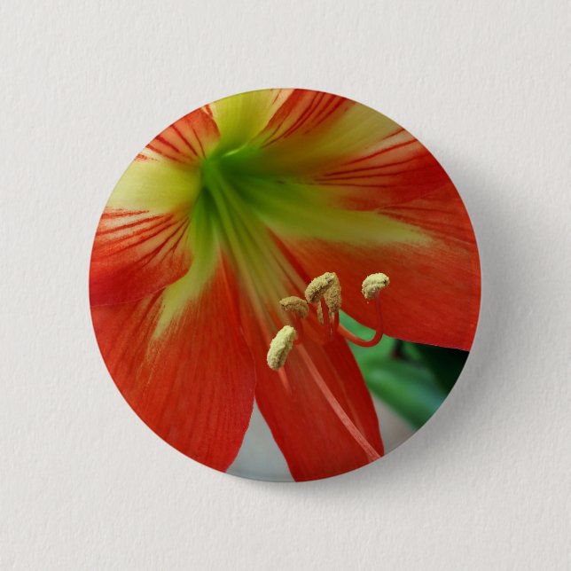 Badge Rond 5 Cm orange lily (Devant)