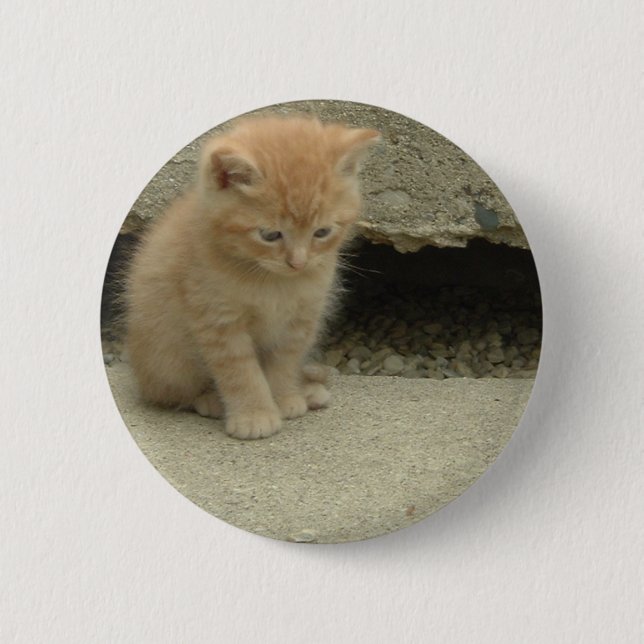 Badge Rond 5 Cm Orange Tabby Kitten (Devant)