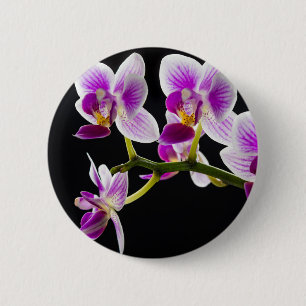 Badge Rond 5 Cm Orchidée blanche et violette