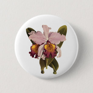 Badge Rond 5 Cm Orchidée Cattleya Violette Vintage, Fleurs Tropica