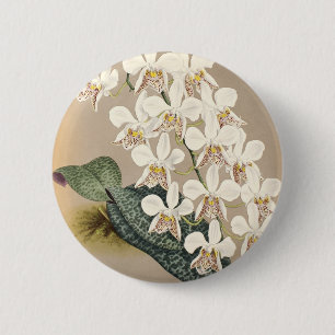 Badge Rond 5 Cm Orchidées
