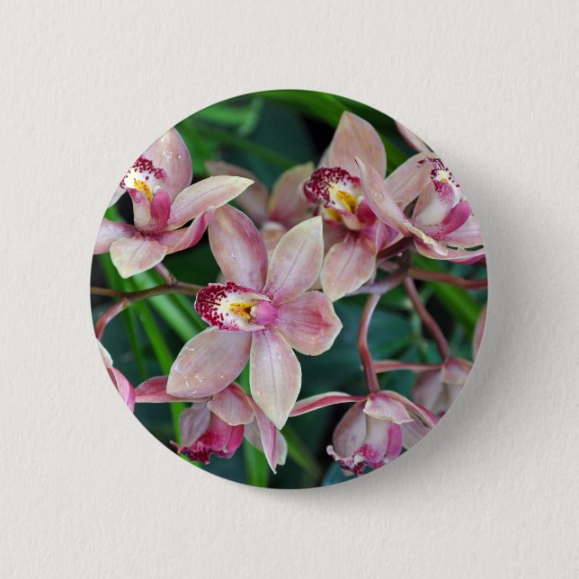 Badge Rond 5 Cm Orchidées de papillons roses (Devant)