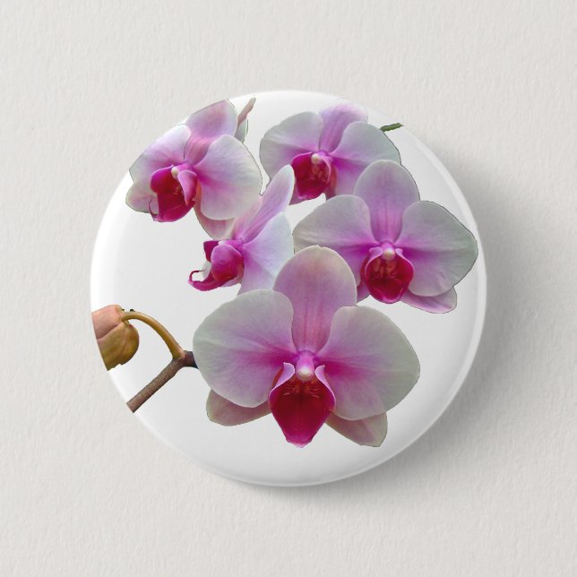 Badge Rond 5 Cm Orchidées de teigne rose - Phalaenopsis (Devant)
