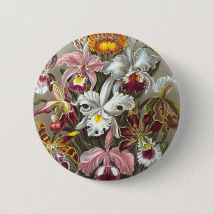 Badge Rond 5 Cm Orchidées Ernst Haeckel Fine Art