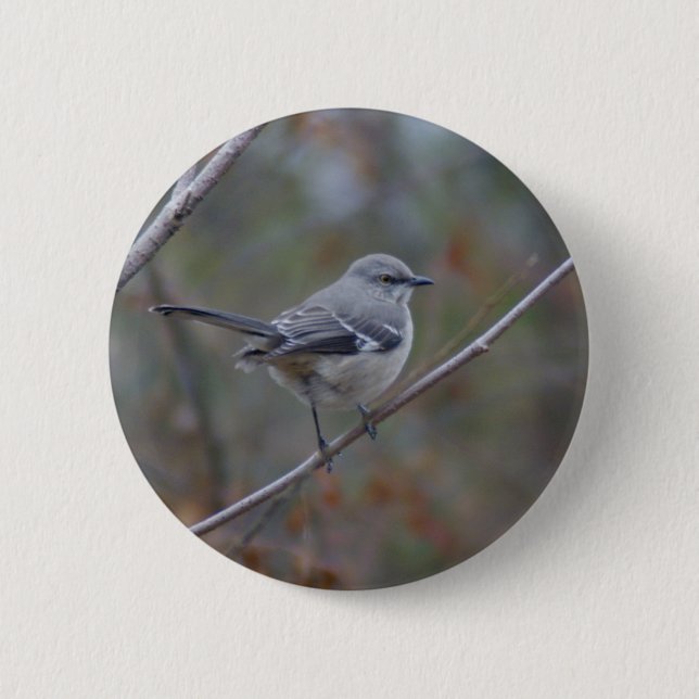 Badge Rond 5 Cm Ornithologie de moqueur (Devant)