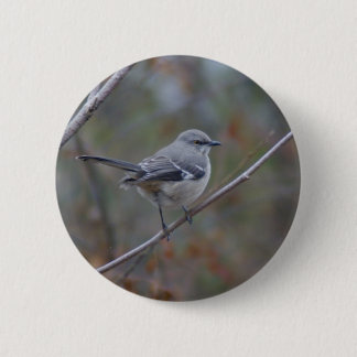 Badge Rond 5 Cm Ornithologie de moqueur
