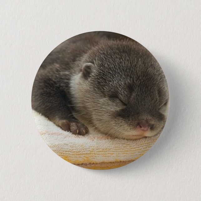 Badge Rond 5 Cm Otter endormi (Devant)
