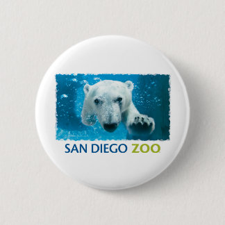 Badge Rond 5 Cm Ours blanc de zoo de San Diego