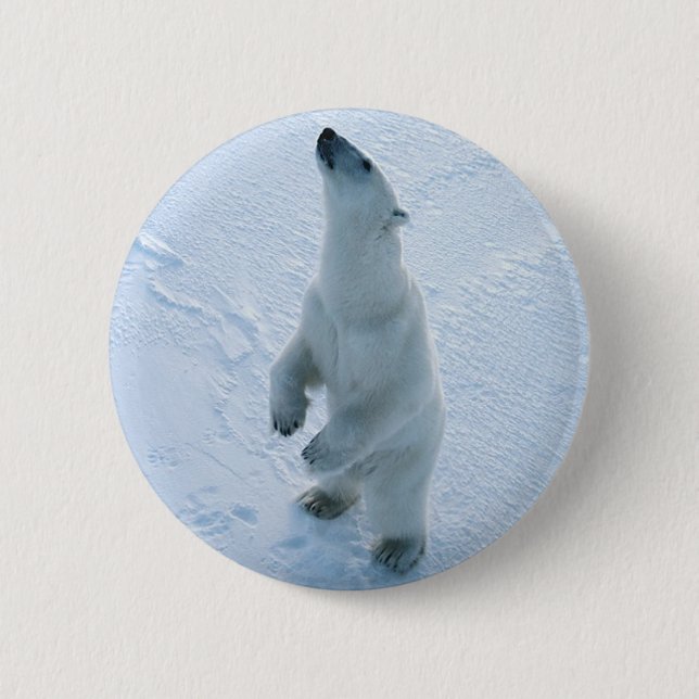 Badge Rond 5 Cm Ours blanc debout (Devant)