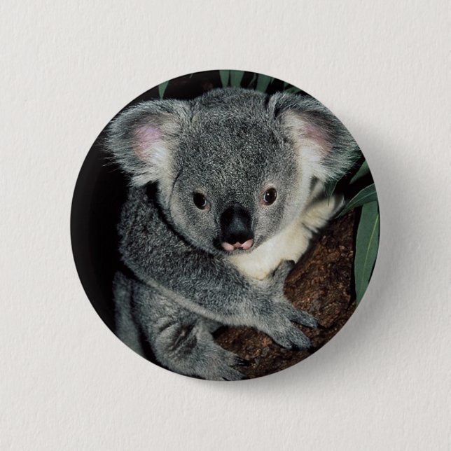 Badge Rond 5 Cm Ours de koala mignon (Devant)